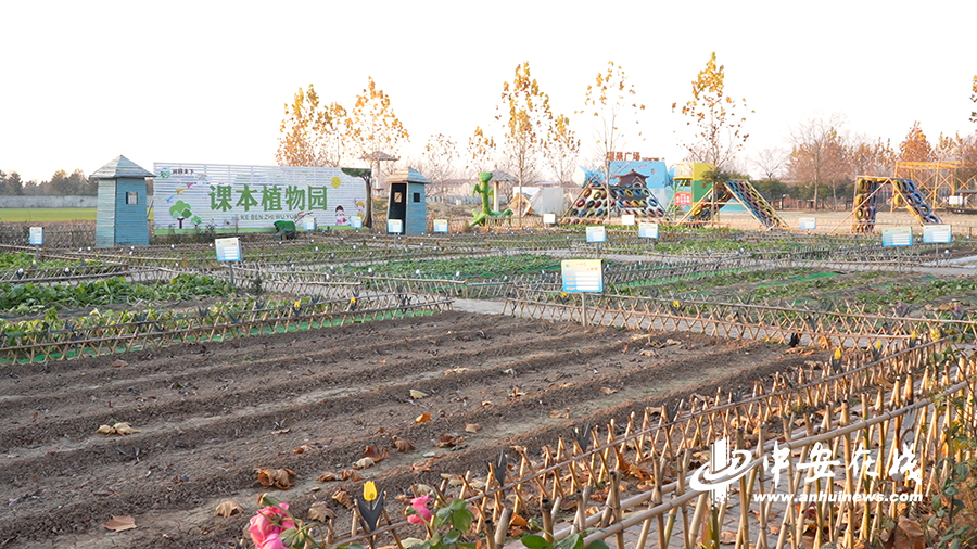 通道县播阳农场最新交通新闻，通道县播阳农场交通新闻更新