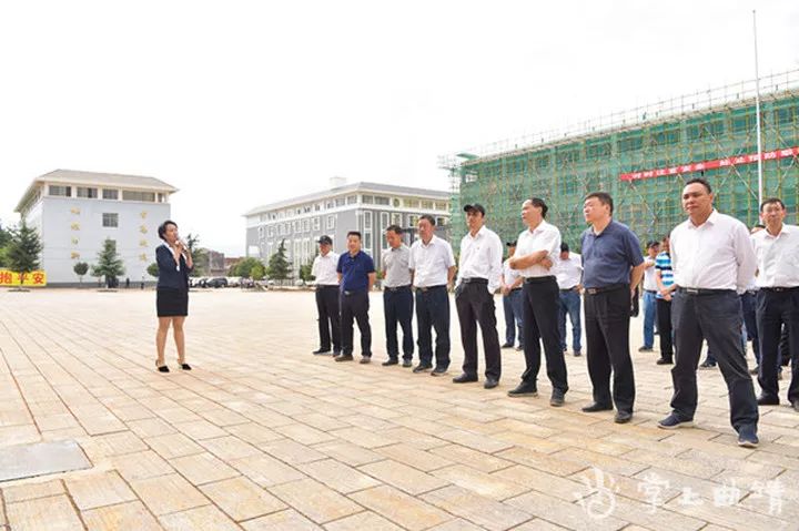 董新村民委员会最新项目，引领乡村发展的典范之作，董新村民委员会引领乡村发展的典范项目启动