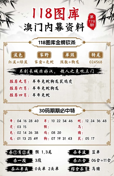 澳门马今天开什么特马,深入执行计划数据_豪华版59.219