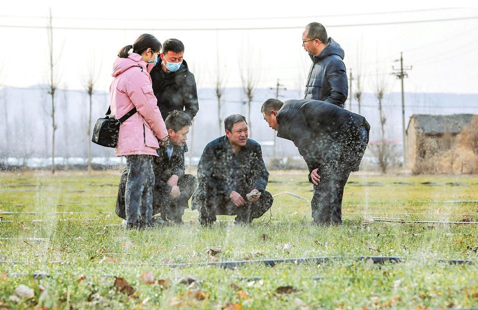 山西省运城市稷山县翟店镇最新招聘信息概览，翟店镇最新招聘信息概览——山西省运城市稷山县职位空缺全解析