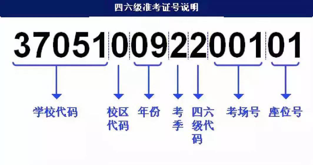 新奥精准资料精选天天中,快速解答计划设计_V66.397