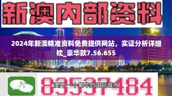 新澳2024年精准正版资料,实践验证解释定义_特别款60.28